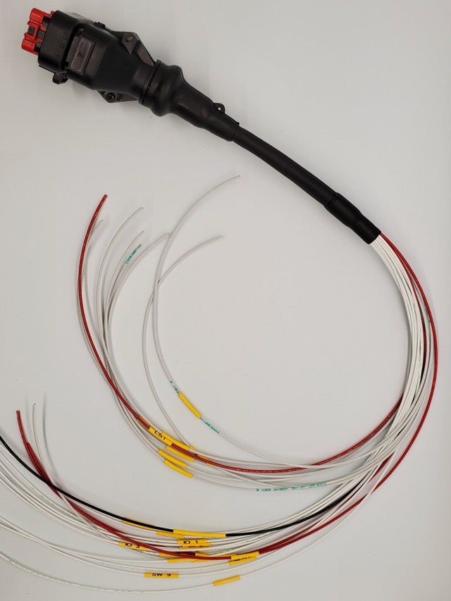 RIO Plug and Play Harness