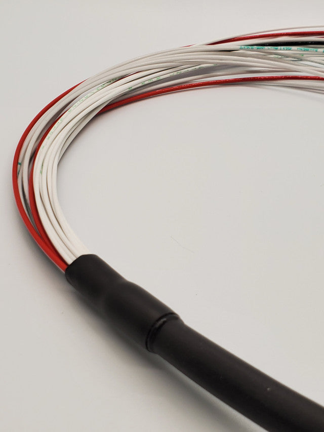 RIO Plug and Play Harness