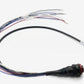SC3 Dual Harness